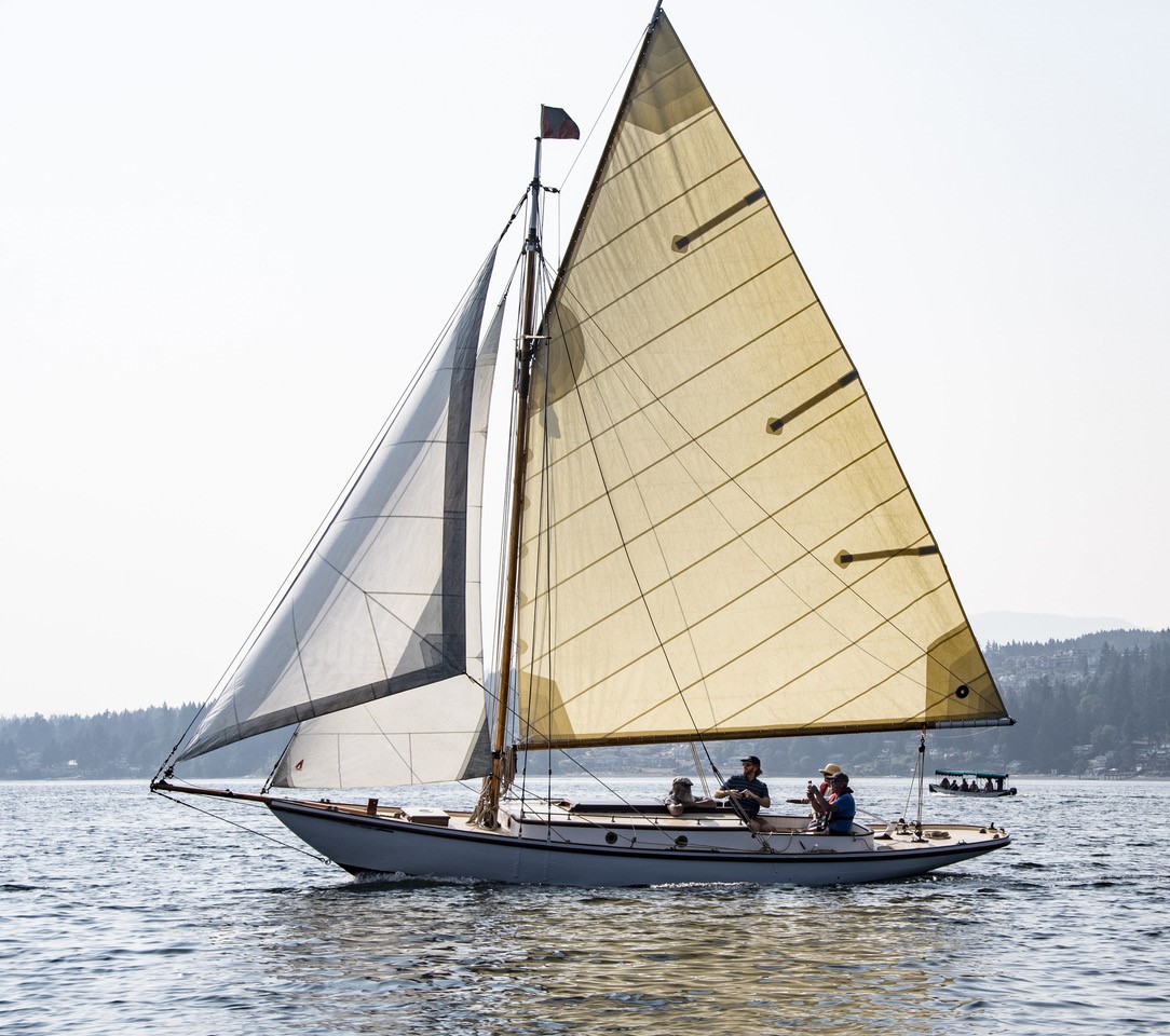 SV Dorothy